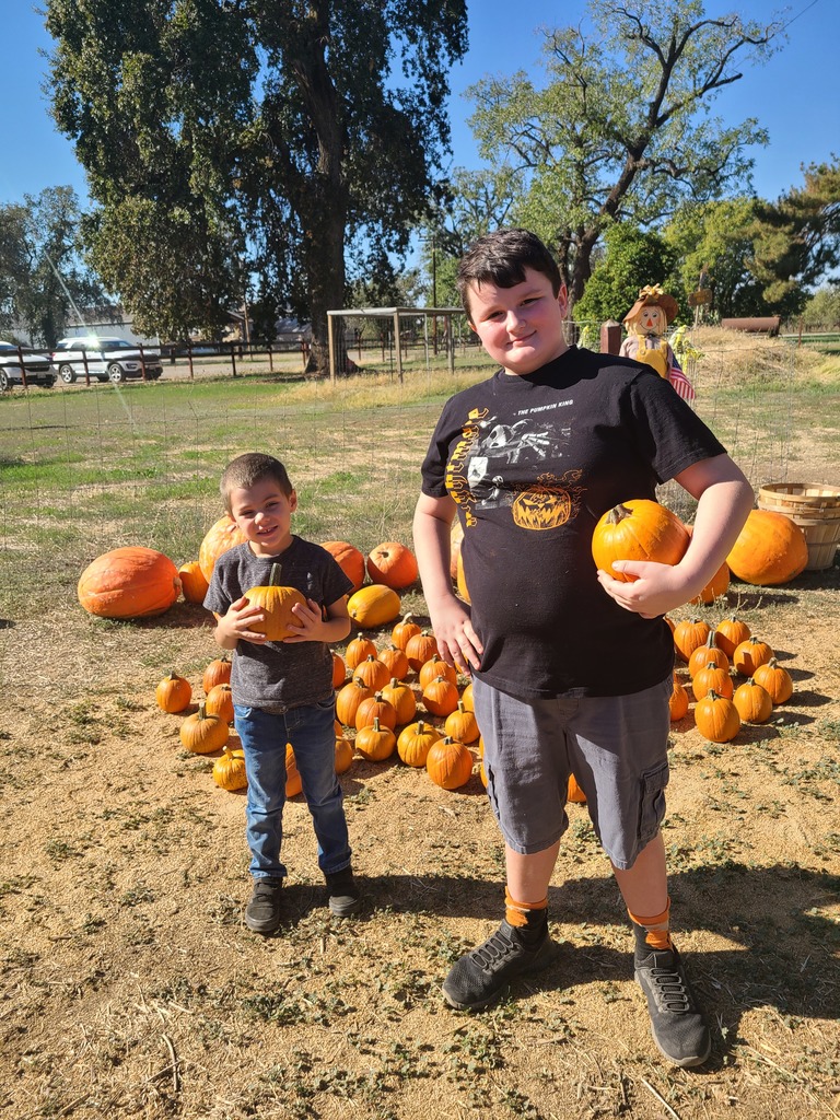 students picking out pumpkins